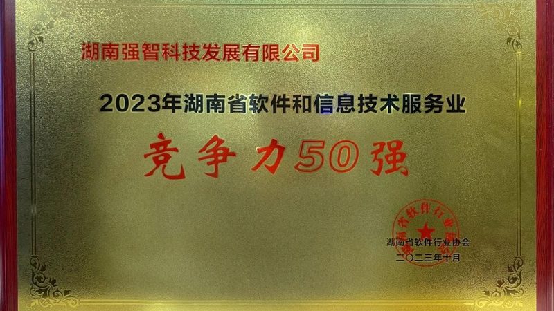 企业IT外包：揭秘常见问题与应对策略**
