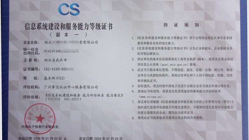 政府采购信息技术投标规范：关键要素与合规要点