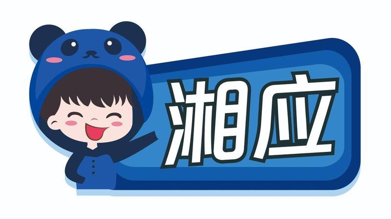 上海综合布线公司代理条件揭秘：如何选择优质服务商